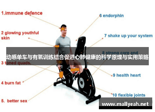 动感单车与有氧训练结合促进心肺健康的科学原理与实用策略