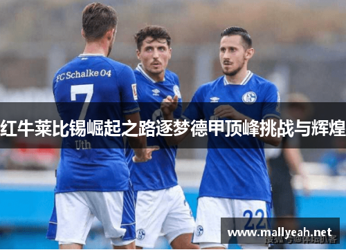 红牛莱比锡崛起之路逐梦德甲顶峰挑战与辉煌