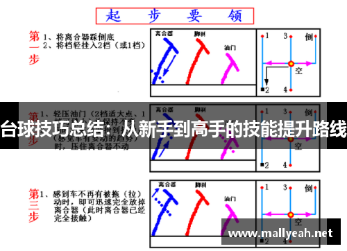 台球技巧总结：从新手到高手的技能提升路线