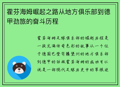 霍芬海姆崛起之路从地方俱乐部到德甲劲旅的奋斗历程